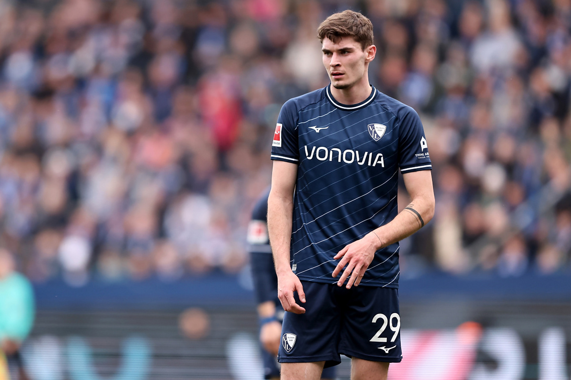 并解读他们 并解读他们