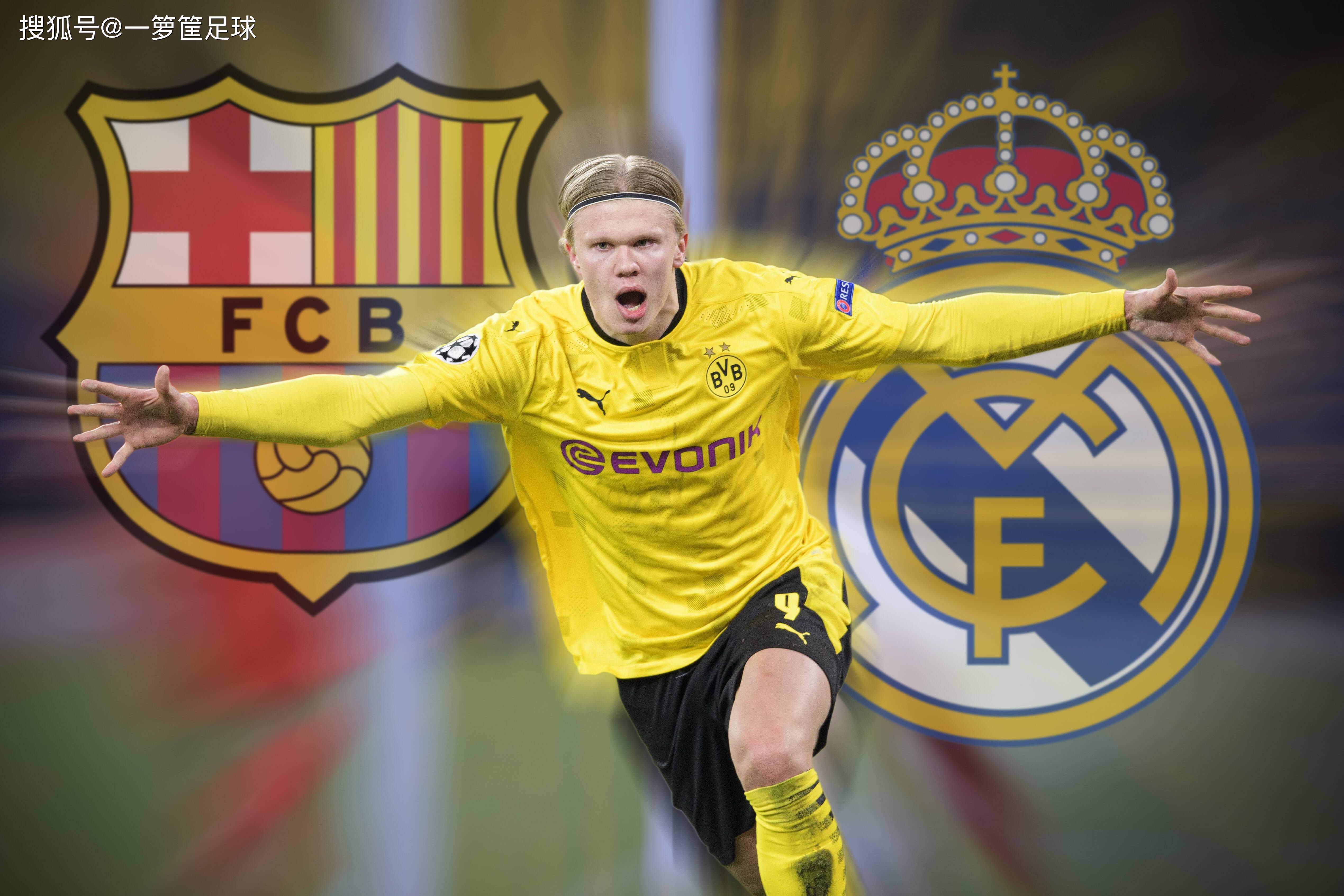 本火腿而言 本火腿而言